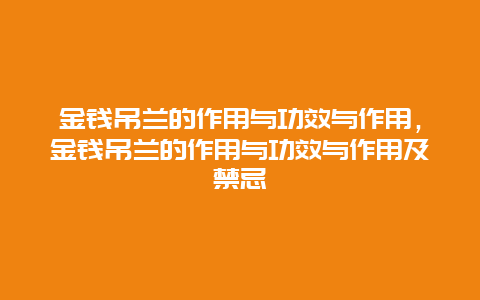 金钱吊兰的作用与功效与作用，金钱吊兰的作用与功效与作用及禁忌