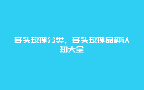 多头玫瑰分类，多头玫瑰品种认知大全