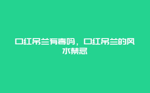 口红吊兰有毒吗，口红吊兰的风水禁忌