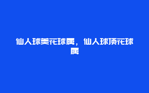 仙人球美花球属，仙人球顶花球属