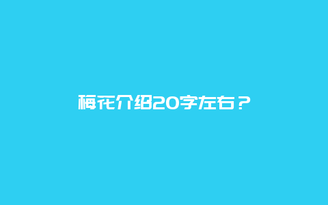 梅花介绍20字左右？