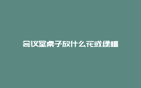 会议室桌子放什么花或绿植