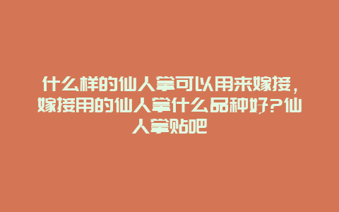 什么样的仙人掌可以用来嫁接，嫁接用的仙人掌什么品种好?仙人掌贴吧