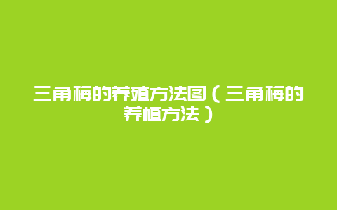 三角梅的养殖方法图（三角梅的养植方法）