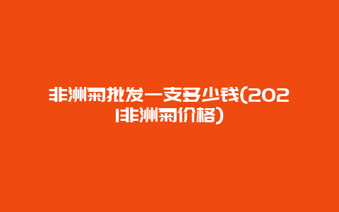 非洲菊批发一支多少钱(2021非洲菊价格)