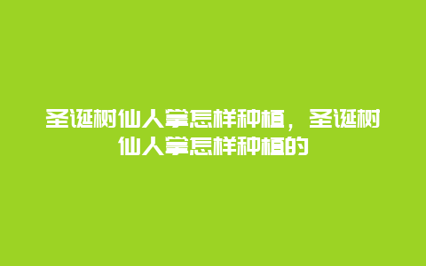 圣诞树仙人掌怎样种植，圣诞树仙人掌怎样种植的