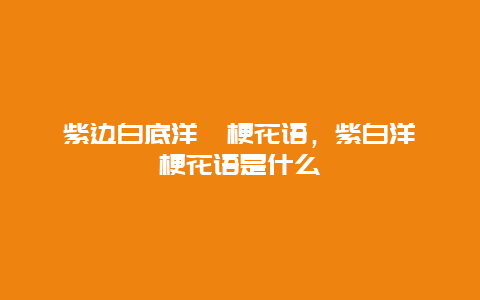 紫边白底洋桔梗花语，紫白洋桔梗花语是什么