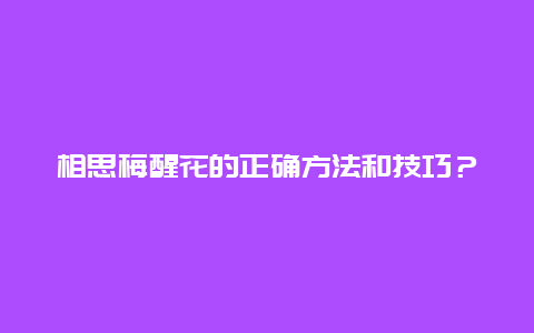 相思梅醒花的正确方法和技巧？