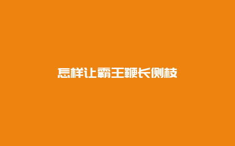 怎样让霸王鞭长侧枝