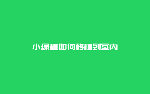 小绿植如何移植到室内