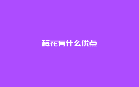 梅花有什么优点