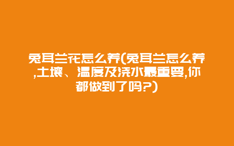 兔耳兰花怎么养(兔耳兰怎么养,土壤、温度及浇水最重要,你都做到了吗?)