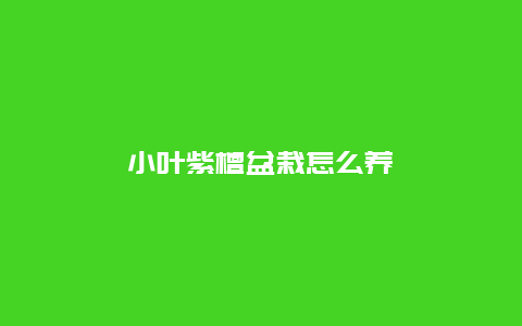 小叶紫檀盆栽怎么养