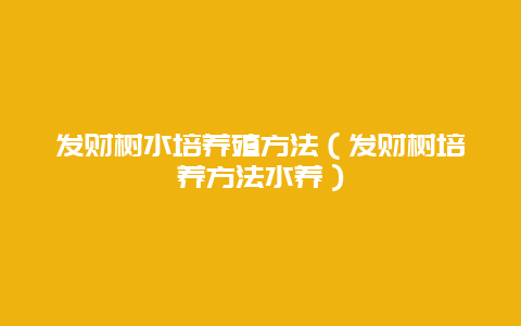 发财树水培养殖方法（发财树培养方法水养）