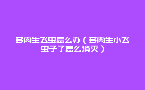 多肉生飞虫怎么办（多肉生小飞虫子了怎么消灭）