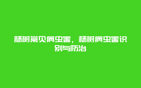 杨树常见病虫害，杨树病虫害识别与防治