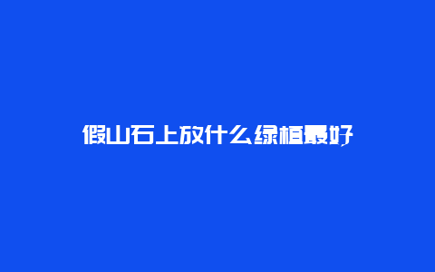 假山石上放什么绿植最好