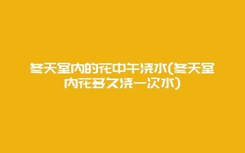 冬天室内的花中午浇水(冬天室内花多久浇一次水)