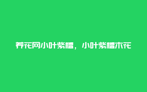 养花网小叶紫檀，小叶紫檀木花