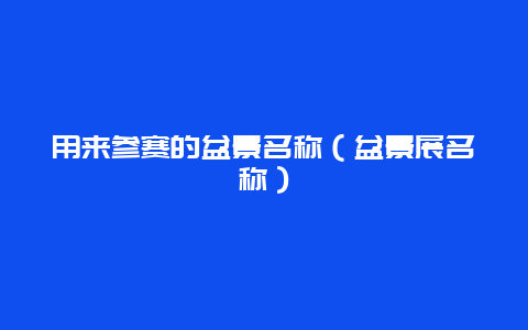 用来参赛的盆景名称（盆景展名称）