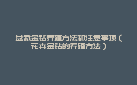 盆栽金钻养殖方法和注意事项（花卉金钻的养殖方法）