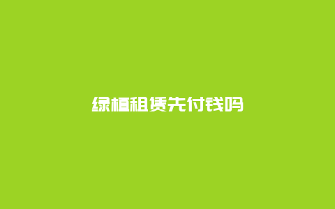 绿植租赁先付钱吗