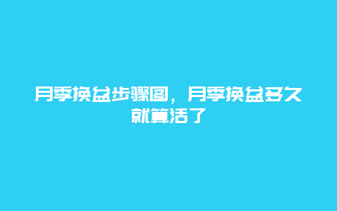 月季换盆步骤图，月季换盆多久就算活了