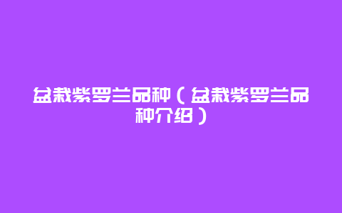 盆栽紫罗兰品种（盆栽紫罗兰品种介绍）