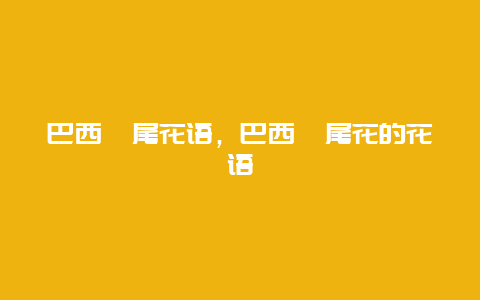 巴西鸢尾花语，巴西鸢尾花的花语