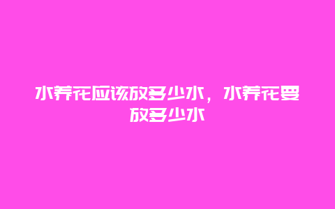 水养花应该放多少水，水养花要放多少水