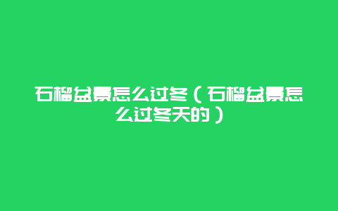 石榴盆景怎么过冬（石榴盆景怎么过冬天的）