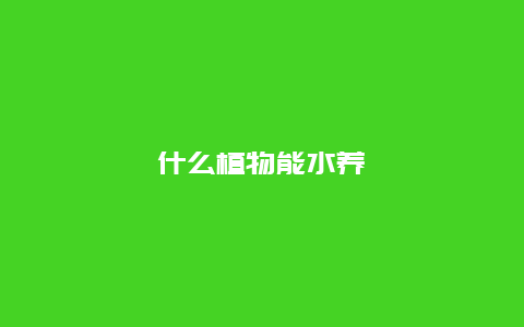 什么植物能水养