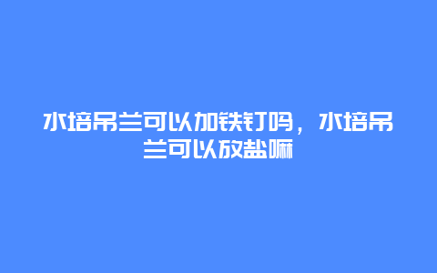 水培吊兰可以加铁钉吗，水培吊兰可以放盐嘛