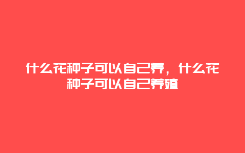 什么花种子可以自己养，什么花种子可以自己养殖