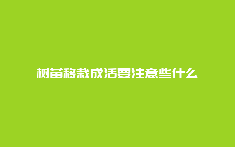 树苗移栽成活要注意些什么