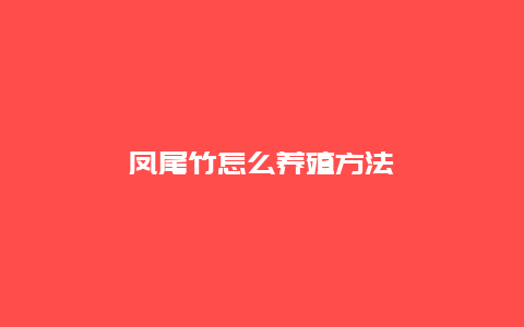 凤尾竹怎么养殖方法