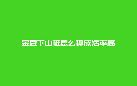 金豆下山桩怎么种成活率高