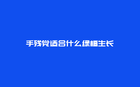 手残党适合什么绿植生长