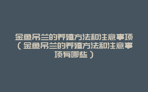 金鱼吊兰的养殖方法和注意事项（金鱼吊兰的养殖方法和注意事项有哪些）