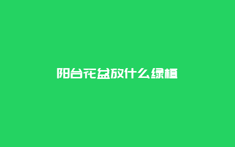 阳台花盆放什么绿植