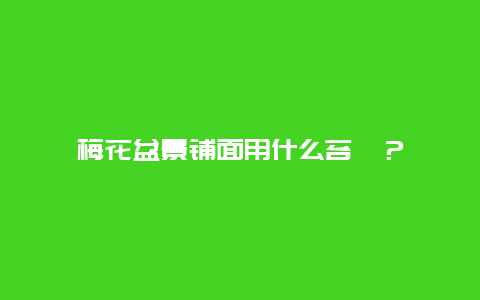 梅花盆景铺面用什么苔藓？