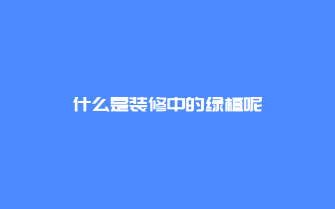 什么是装修中的绿植呢