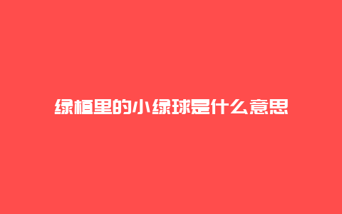 绿植里的小绿球是什么意思