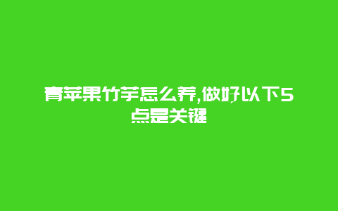 青苹果竹芋怎么养,做好以下5点是关键