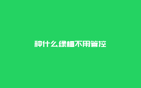 种什么绿植不用管控