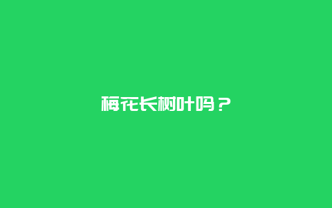 梅花长树叶吗？