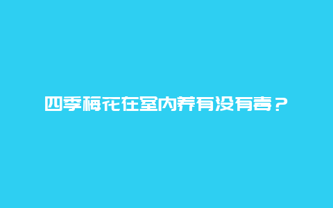 四季梅花在室内养有没有毒？