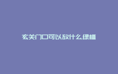 玄关门口可以放什么绿植