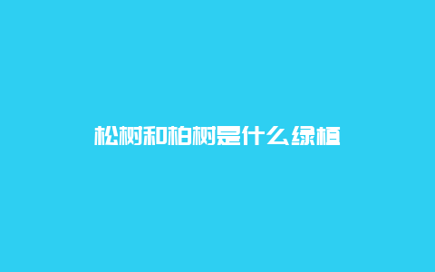 松树和柏树是什么绿植