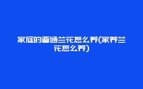 家庭的普通兰花怎么养(家养兰花怎么养)